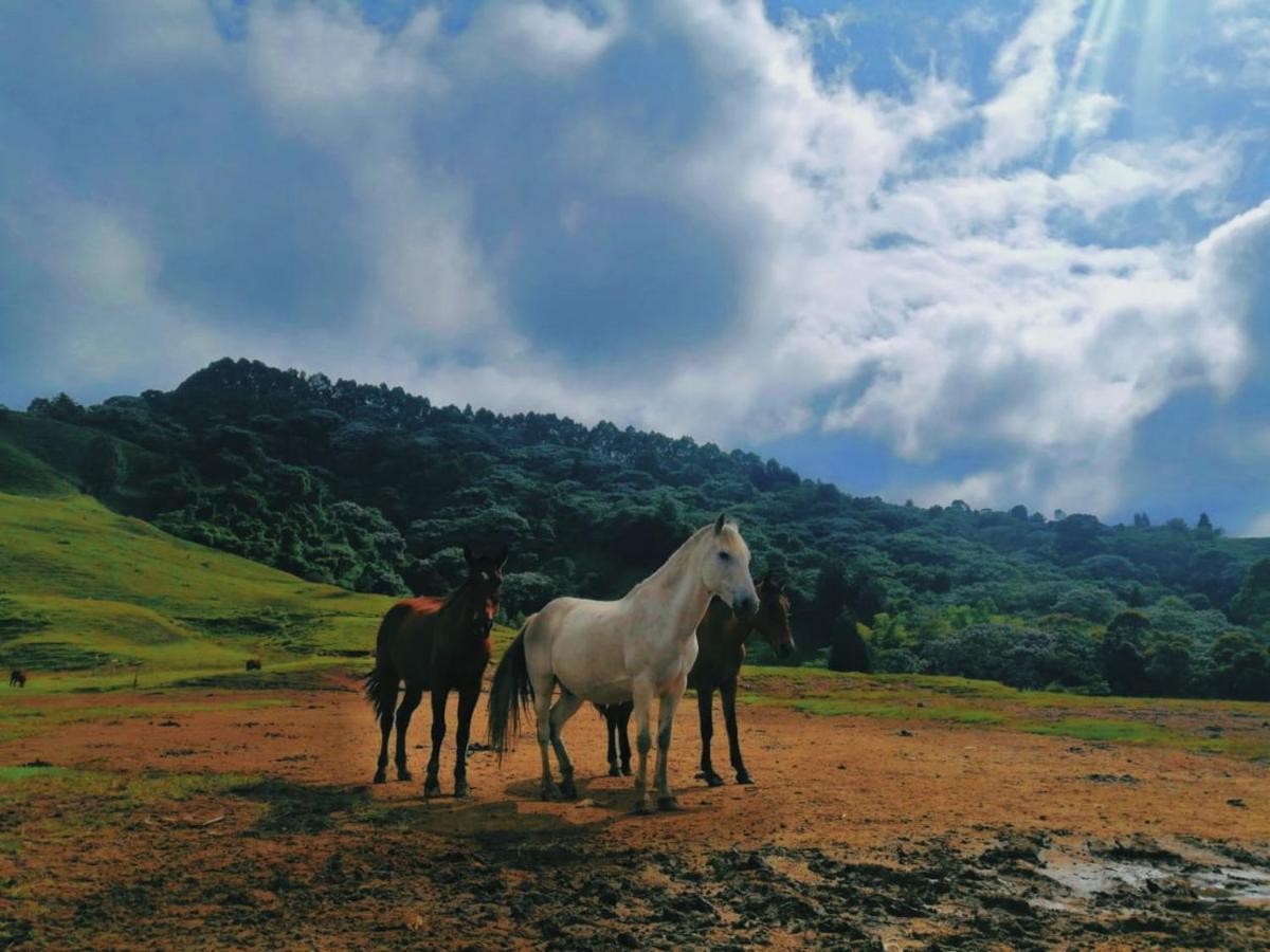 Finca Recreacional Marcelandia サンタ・ロサ・デ・カバル エクステリア 写真