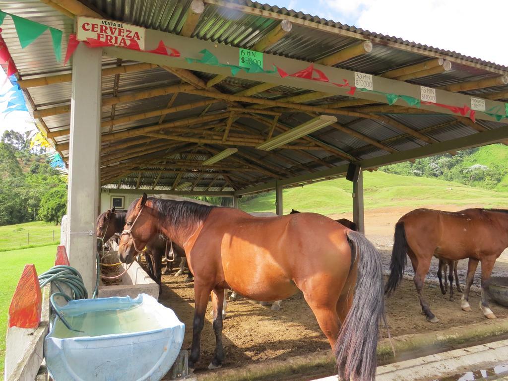 Finca Recreacional Marcelandia サンタ・ロサ・デ・カバル エクステリア 写真